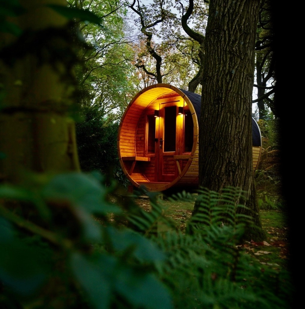 Sauna's